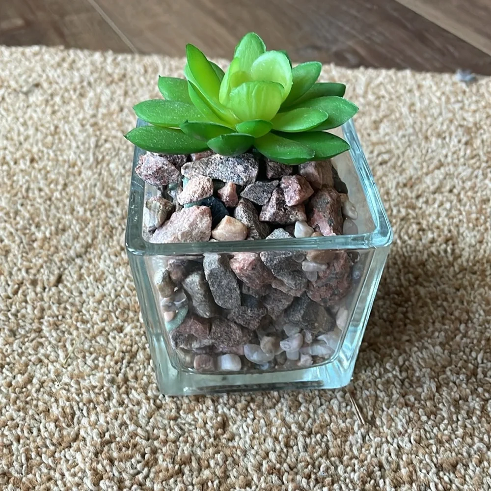 Square Glass faux Succulent